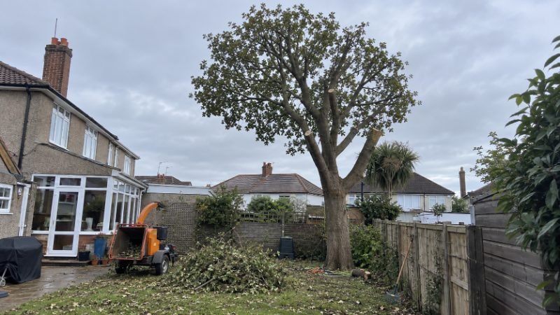 Crown Reduction in Corby