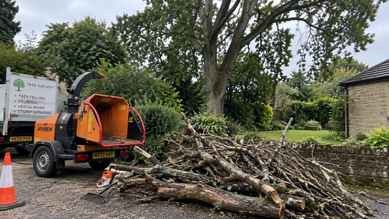 Deadwood Removal in Corby