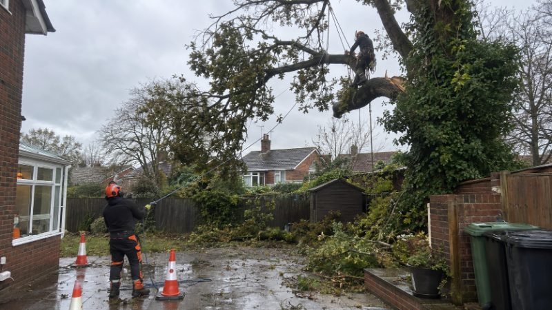 Emergency Storm Damaged Tree Work in Corby
