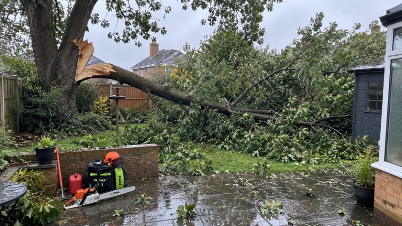 Emergency Storm Damaged Tree Work in Corby