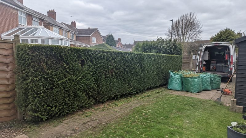 Hedge Cutting and Reduction in Corby
