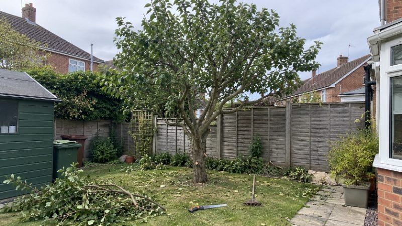 Large Tree and Difficult Access Work in Corby