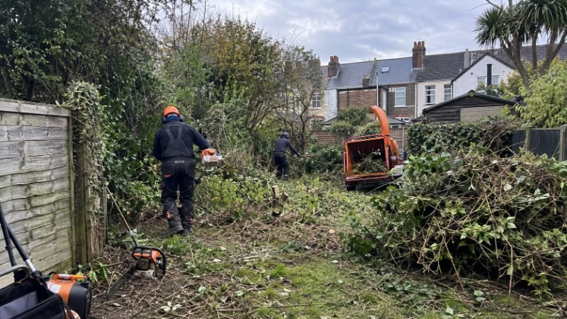 Site Clearance and Vegetation Removal in Corby