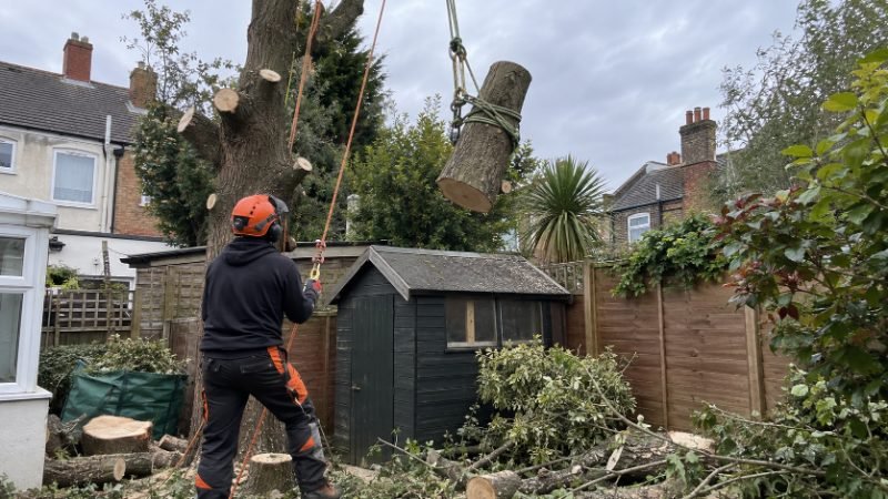 Site Clearance and Vegetation Removal in Corby