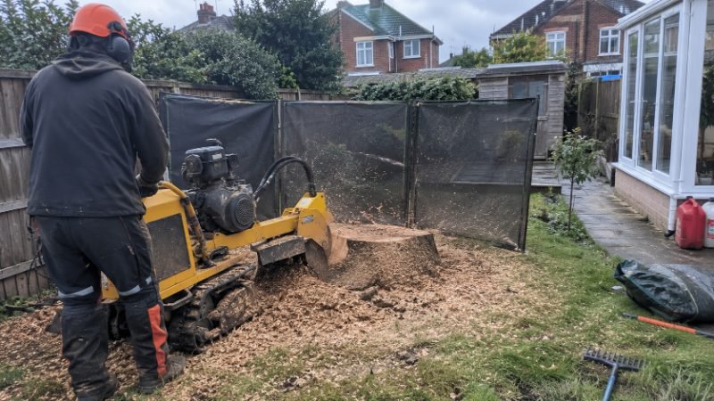 Stump Grinding in Corby