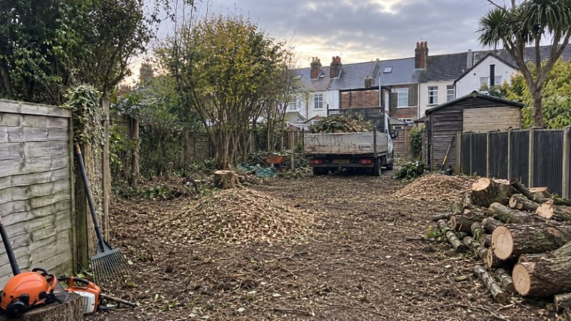 Stump Grinding project — Corby, North Northamptonshire