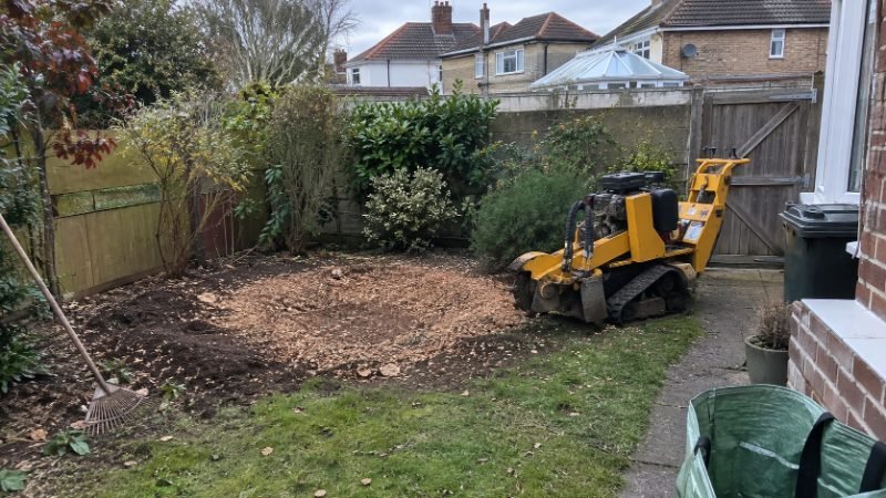 Tree Felling and Removal services in Corby, North Northamptonshire